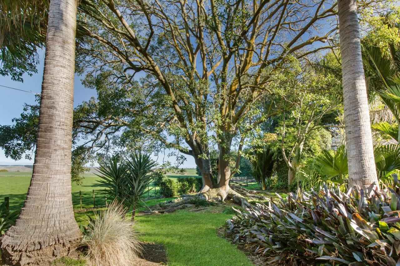 Headlands Estate Διαμέρισμα Whanganui Εξωτερικό φωτογραφία