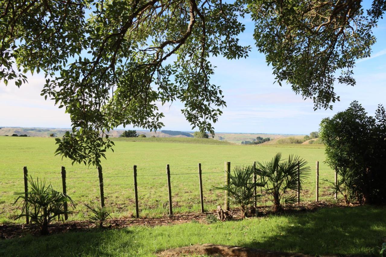 Headlands Estate Διαμέρισμα Whanganui Εξωτερικό φωτογραφία